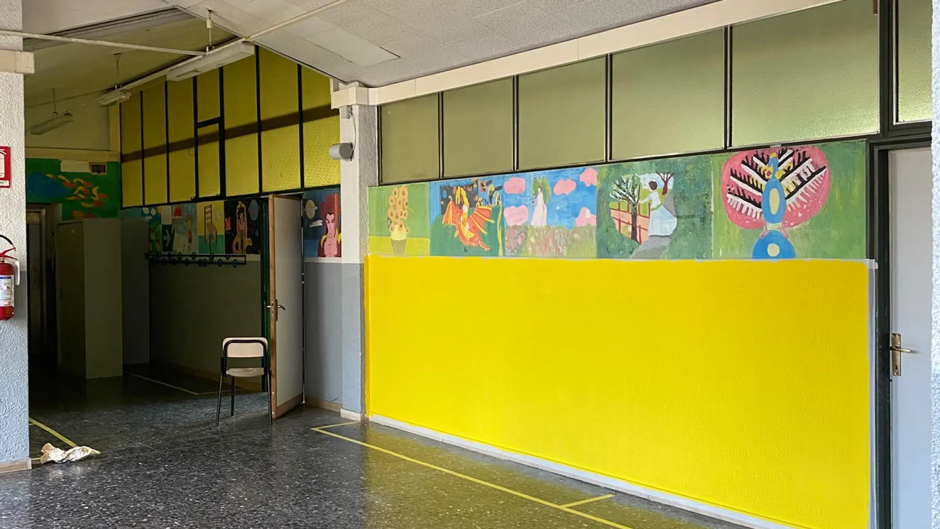 decoro 5